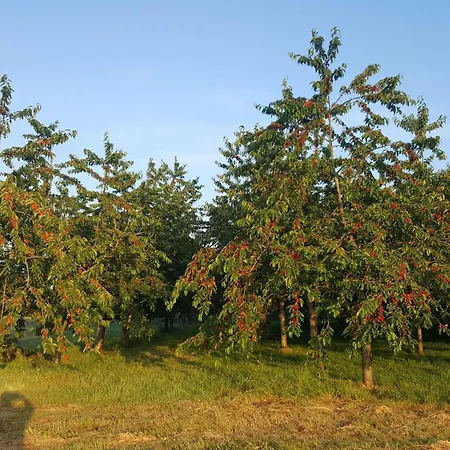 לינה וארוחת בוקר Ferme Fruitiere Zero Traitement Ernée