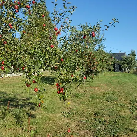 Panzió Ferme Fruitiere Zero Traitement