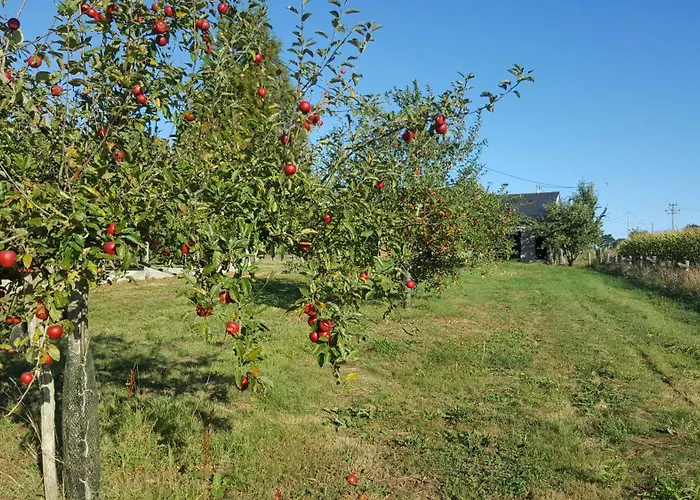 Couette-café Ferme Fruitière Zéro Traitement